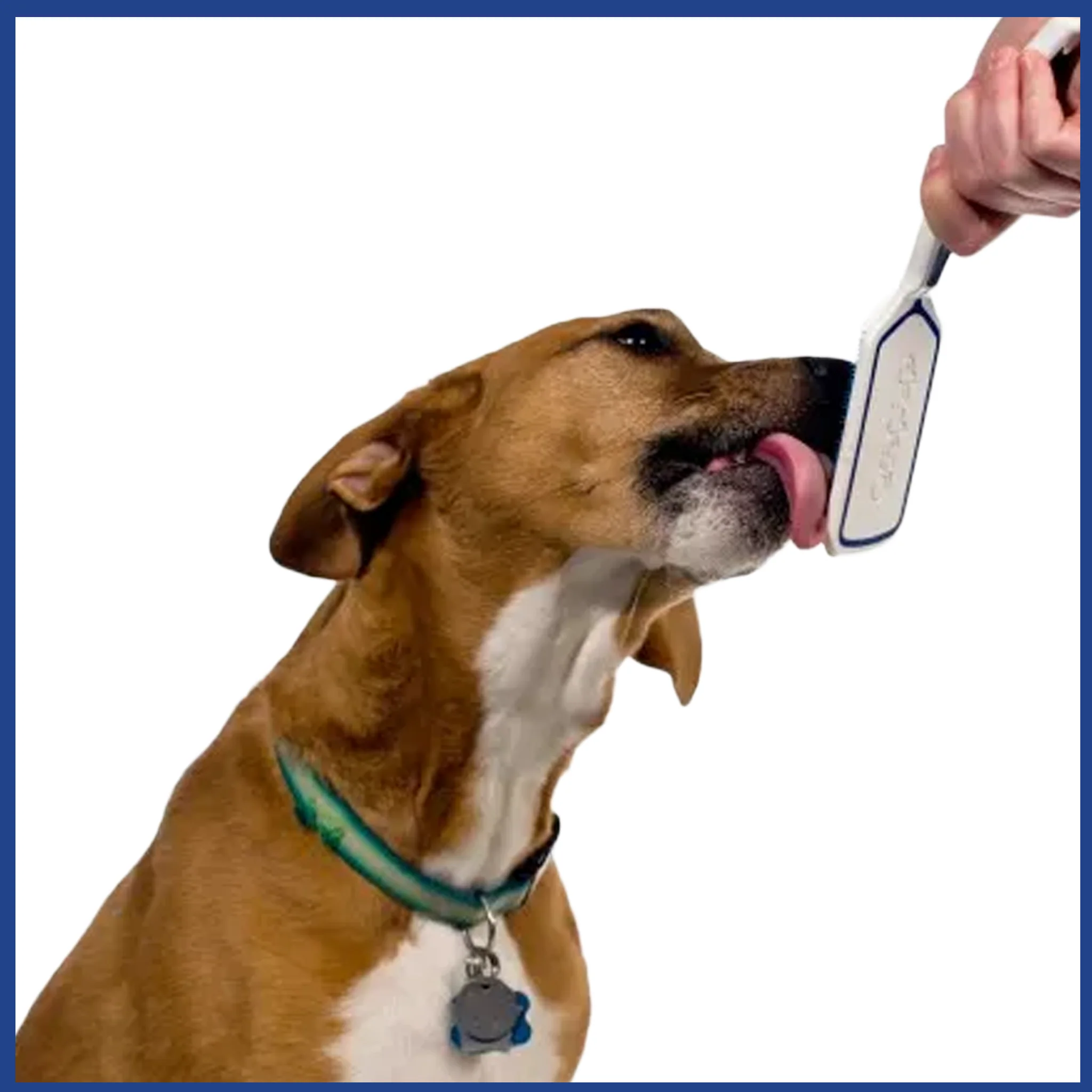 OraPup Dog Tongue Cleaner - BreezeCare OraPup Dog Tongue Cleaner - BreezeCare