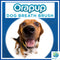 OraBrush - OraPup Doggie Brush